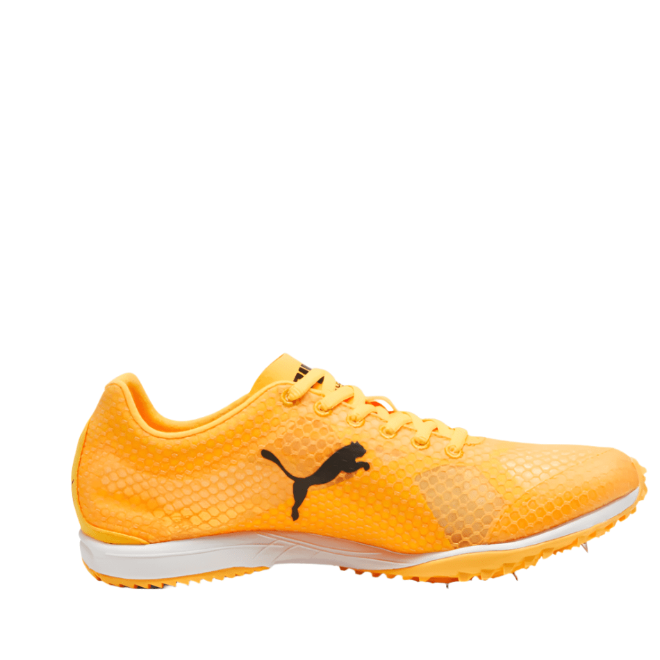 EvoSpeed Haraka 8 Running Shoes Sunstream Black SS25